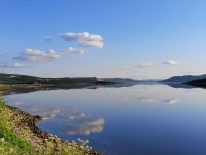 Северян приглашают к участию в региональном фотоконкурсе