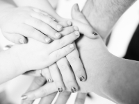 В роддомах Мурманской области вновь стали доступны партнерские роды