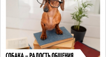 Библиотека на Халтурина, 3 приглашает на встречу с кинологами и канистерапевтами 6+